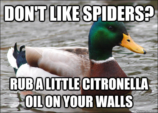 Don't like spiders? rub a little citronella oil on your walls   Actual Advice Mallard