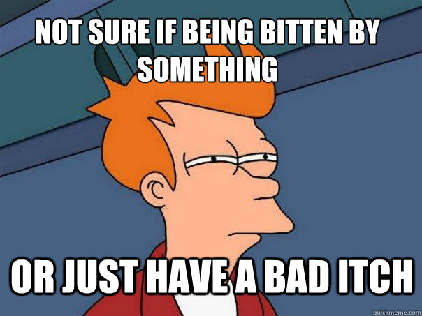 not sure if being bitten by something or just have a bad itch  Futurama Fry