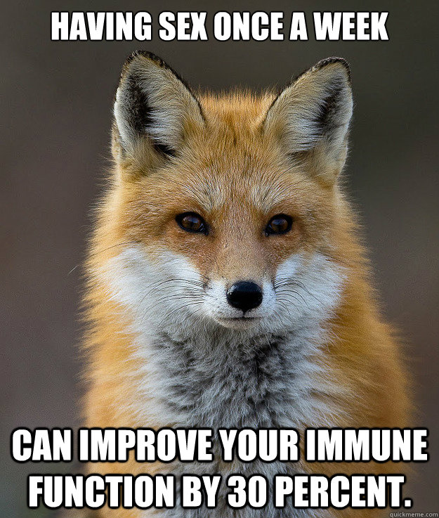 Having sex once a week 


 can improve your immune function by 30 percent. - Having sex once a week 


 can improve your immune function by 30 percent.  Fun Fact Fox