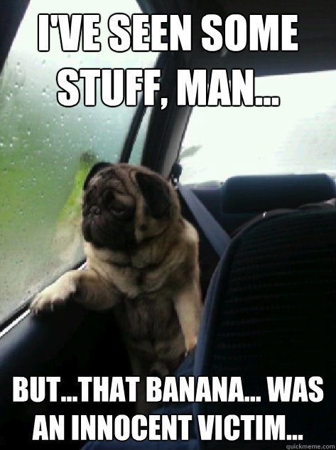 i've seen some stuff, man... but...that banana... was an innocent victim... - i've seen some stuff, man... but...that banana... was an innocent victim...  Introspective Pug