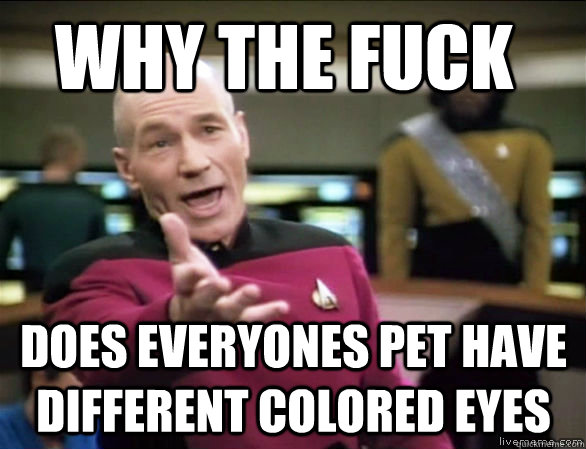why the fuck Does everyones pet have different colored eyes  Annoyed Picard HD
