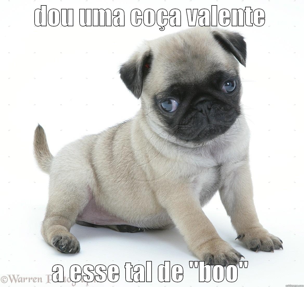 DOU UMA COÇA VALENTE A ESSE TAL DE 