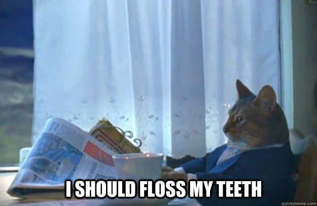 I should floss my teeth  Sophisticated Cat
