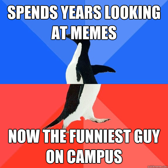 Spends years looking at memes  now the funniest guy on campus  Socially Awkward Awesome Penguin