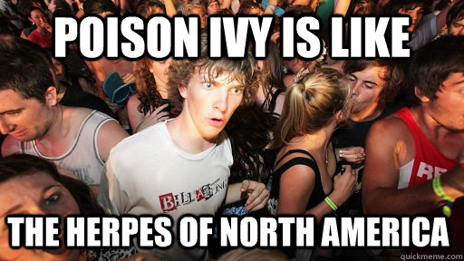 poison ivy is like  the herpes of north america  Sudden Clarity Clarence