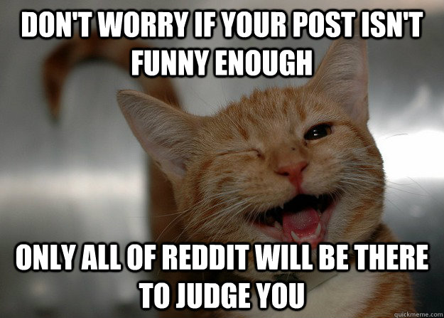 Don't worry if your post isn't funny enough only all of reddit will be there to judge you  Sarcastic Cat