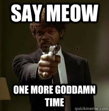 Say MEOW one more goddamn time  Pulp Fiction meme