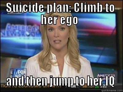 SUICIDE PLAN: CLIMB TO HER EGO  AND THEN JUMP TO HER IQ Megyn Kelly