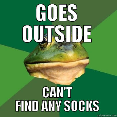 GOES OUTSIDE CAN'T FIND ANY SOCKS Foul Bachelor Frog