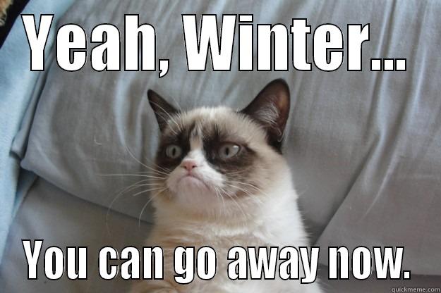 YEAH, WINTER... YOU CAN GO AWAY NOW. Grumpy Cat