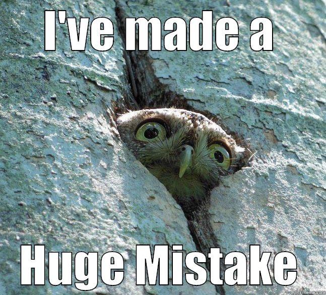I've made a huge mistake - I'VE MADE A HUGE MISTAKE Misc