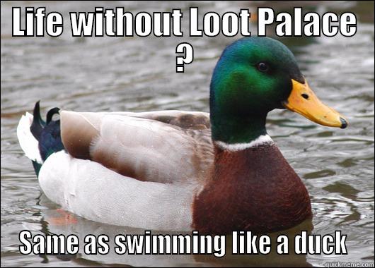 Somebody says loof palace - LIFE WITHOUT LOOT PALACE ? SAME AS SWIMMING LIKE A DUCK  Actual Advice Mallard
