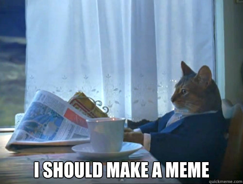 I SHOULD MAKE A MEME  The One Percent Cat