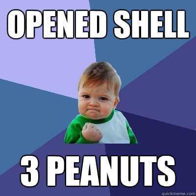 opened shell 3 peanuts  Success Kid