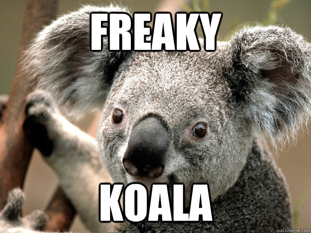 freaky koala - freaky koala  Misc