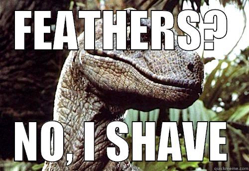 Shaven Raptor - FEATHERS? NO, I SHAVE Misc