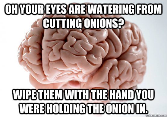 Oh your eyes are watering from cutting onions? wipe them with the hand you were holding the onion in.  Scumbag Brain I almost puked