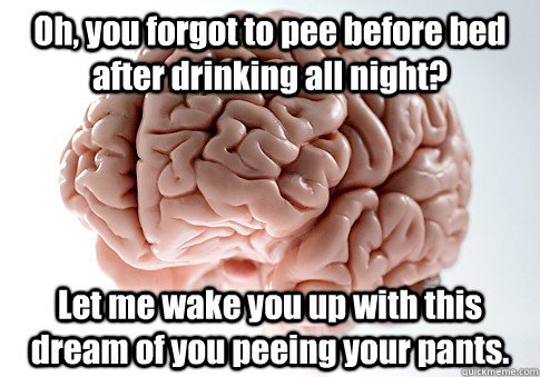 Oh, you forgot to pee before bed after drinking all night? Let me wake you up with this dream of you peeing your pants.  Scumbag Brain