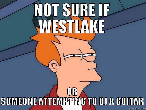 NOT SURE IF WESTLAKE OR SOMEONE ATTEMPTING TO DJ A GUITAR Futurama Fry