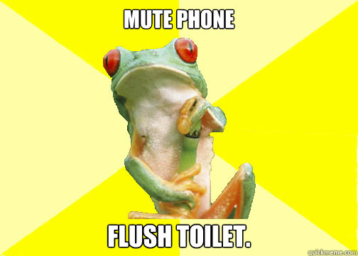 Mute Phone Flush toilet.  