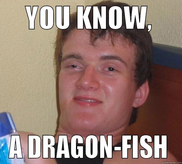 YOU KNOW, A DRAGON-FISH 10 Guy
