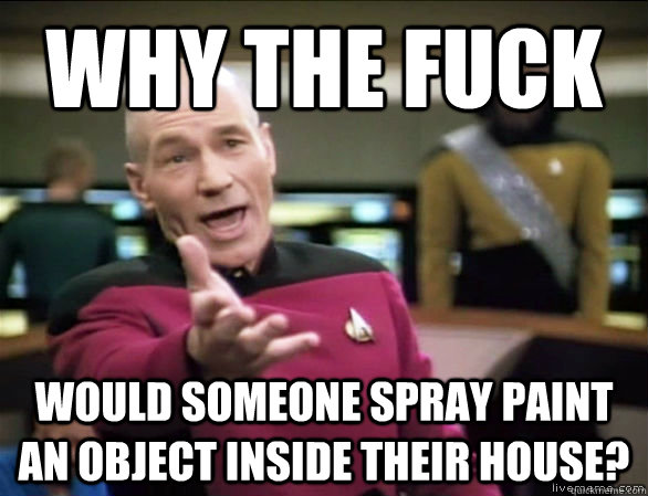 why the fuck would someone spray paint an object inside their house?  Annoyed Picard HD