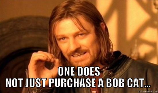   ONE DOES NOT JUST PURCHASE A BOB CAT... Boromir