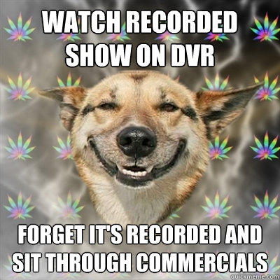 Watch recorded show on DVR forget it's recorded and sit through commercials - Watch recorded show on DVR forget it's recorded and sit through commercials  Stoner Dog