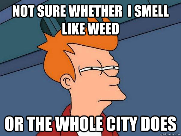 Not sure whether  i smell like weed Or the whole city does  Futurama Fry
