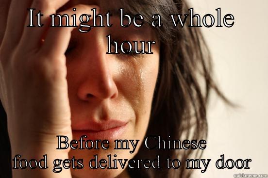 IT MIGHT BE A WHOLE HOUR BEFORE MY CHINESE FOOD GETS DELIVERED TO MY DOOR First World Problems