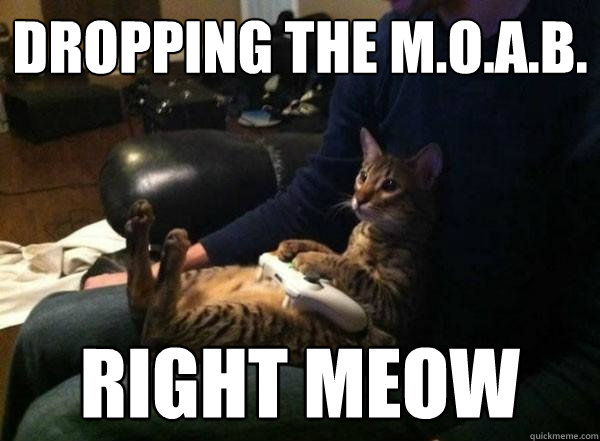 dropping the m.o.a.b. right meow - dropping the m.o.a.b. right meow  Gamer Cat