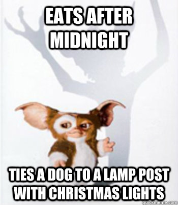 Eats after midnight Ties a dog to a lamp post with Christmas lights  