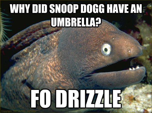 Why did Snoop Dogg have an umbrella? Fo drizzle  Bad Joke Eel