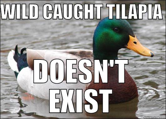 WILD CAUGHT TILAPIA  DOESN'T EXIST Actual Advice Mallard