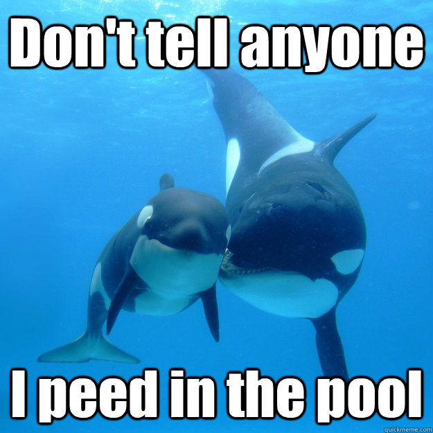 Don't tell anyone I peed in the pool  Dont tell anyone Orca