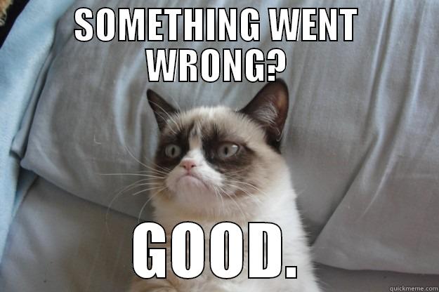Something Went Wrong? - SOMETHING WENT WRONG? GOOD. Grumpy Cat