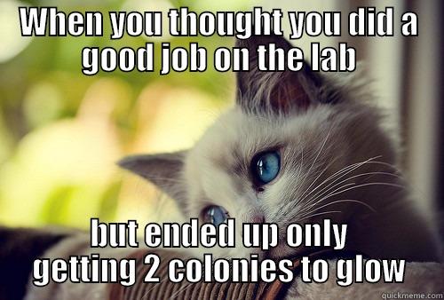 WHEN YOU THOUGHT YOU DID A GOOD JOB ON THE LAB BUT ENDED UP ONLY GETTING 2 COLONIES TO GLOW First World Problems Cat