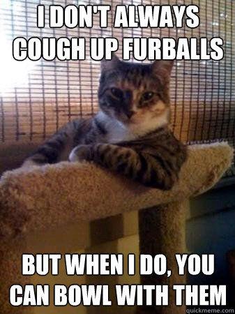 i don't always cough up furballs but when i do, you can bowl with them  The Most Interesting Cat in the World