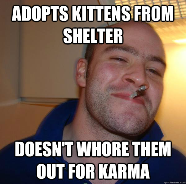adopts kittens from shelter doesn't whore them out for karma - adopts kittens from shelter doesn't whore them out for karma  Misc