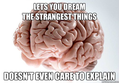 Lets you dream
the strangest things doesn't even care to explain  Scumbag Brain