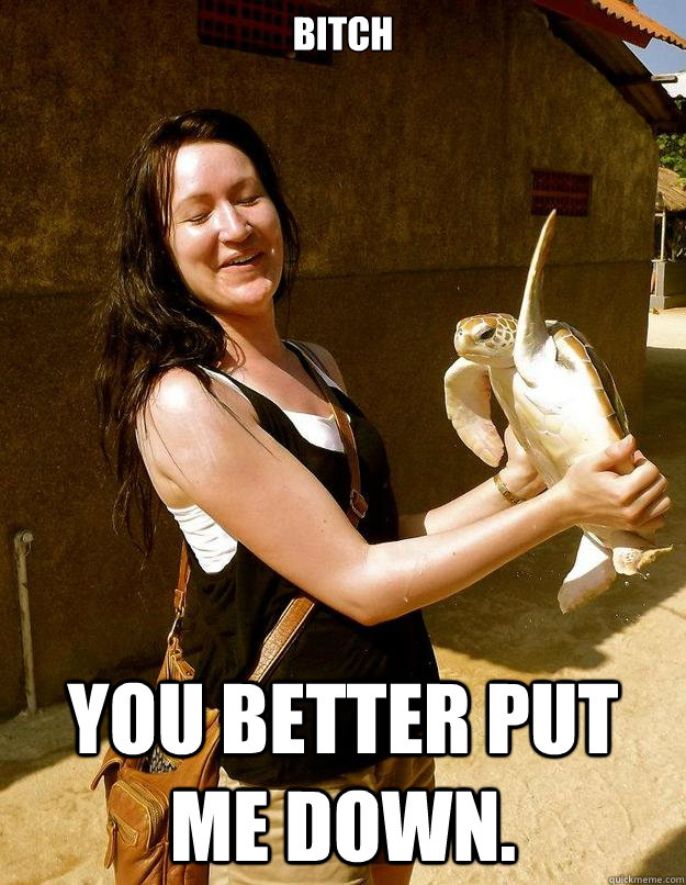 Bitch You better put me down.  Domestic Violence Turtle