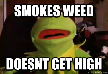 smokes weed doesnt get high - smokes weed doesnt get high  disappointed kermit