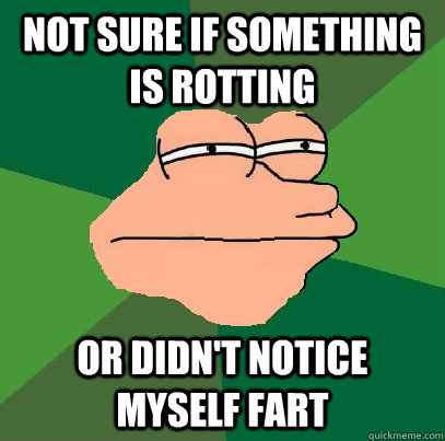 not sure if something is rotting or didn't notice myself fart  Foul Bachelor Fry