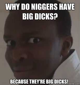 why do niggers have big dicks? because they're big dicks! - why do niggers have big dicks? because they're big dicks!  KSIolajidebt