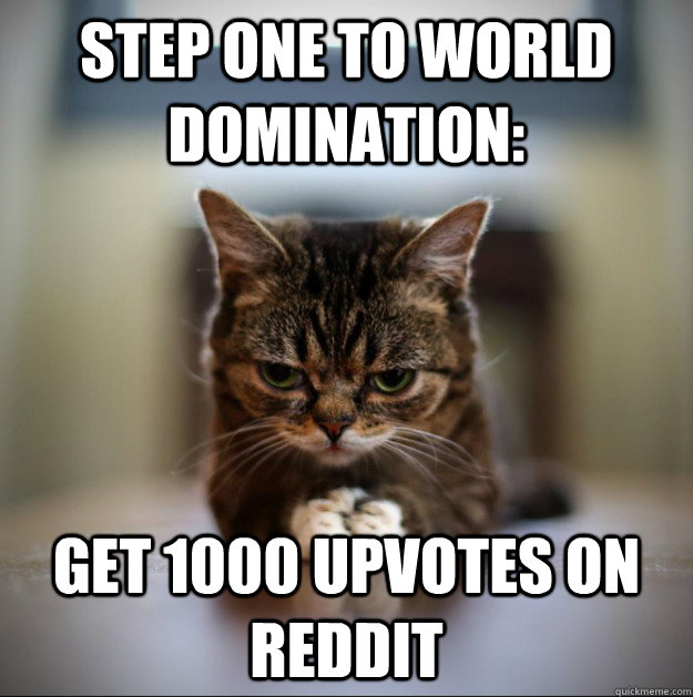Step one to world domination: get 1000 upvotes on reddit - Step one to world domination: get 1000 upvotes on reddit  World Domination Kitty