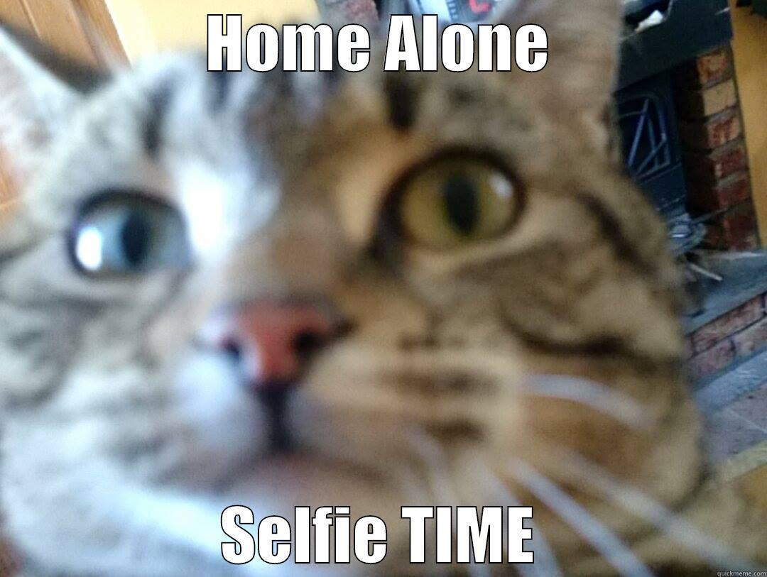 Alone at home - HOME ALONE SELFIE TIME Misc