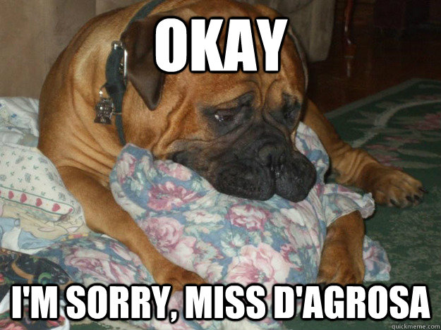 Okay I'm sorry, Miss D'Agrosa - Okay I'm sorry, Miss D'Agrosa  Sad Dog