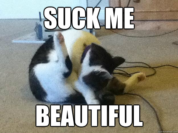 Suck me beautiful - Suck me beautiful  Suck Me Beautiful