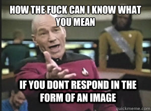 how the fuck can i know what you mean if you dont respond in the form of an image  Annoyed Picard