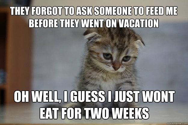 they forgot to ask someone to feed me before they went on vacation oh well, i guess i just wont eat for two weeks   Sad Kitten
